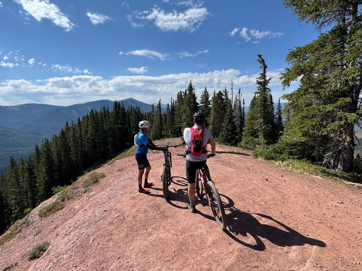 Mountain biker riding alpine singletrack trail